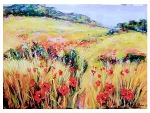 Le Lauragais, Ayguesvives - Les Coquelicots