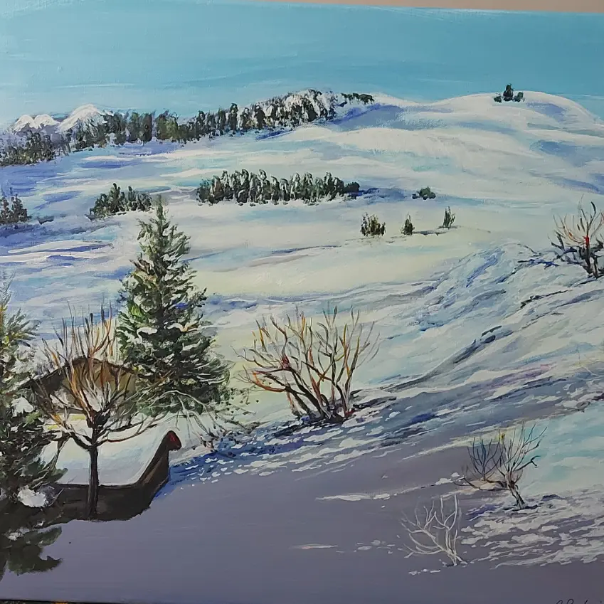 MONTAGNE - ALPES - Les Saisies