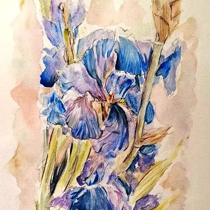 LES FLEURS - Les Iris