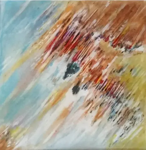 ESPACE - Mauritanie (image satellite Spot)