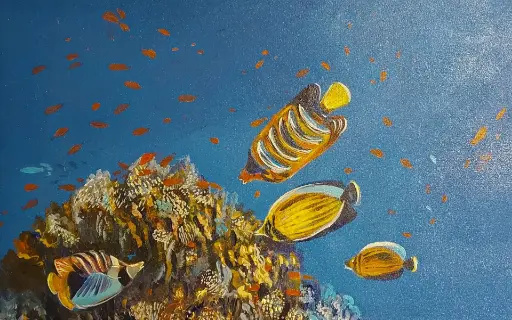 Fonds Marins 2
